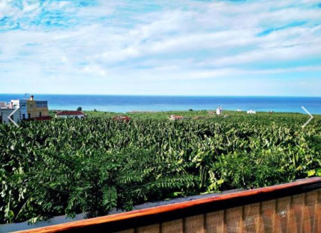 Apartamento El Tejar Tazacorte Ngoại thất bức ảnh